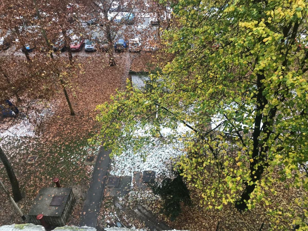 Apartman Zagabria Daire Dış mekan fotoğraf